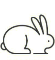 Black and white line art drawing of a rabbit facing left. The rabbit has long ears, a fluffy tail, and whiskers.